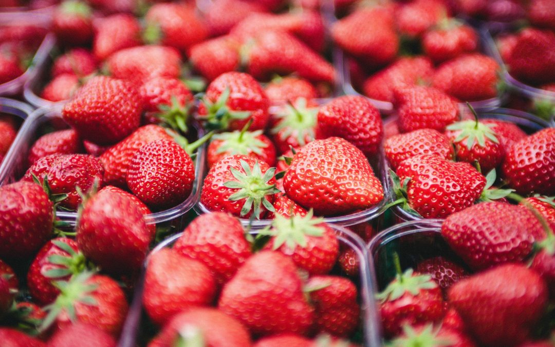 fraise d'avenir isère producteur local